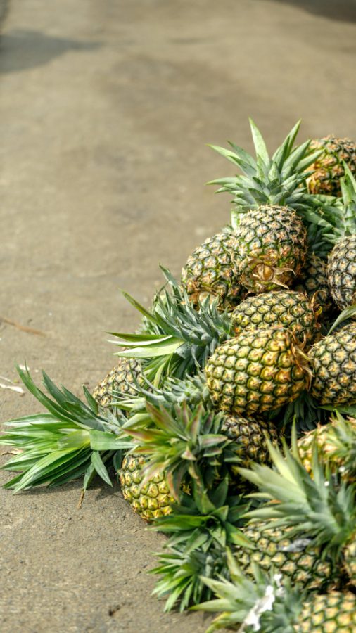Ananas fraîchement cueillis empilés au bord de la route