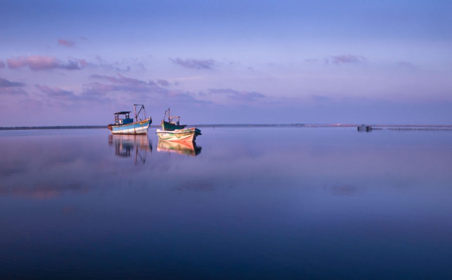 Barques de pêche immobiles sur la lagune à l'aube