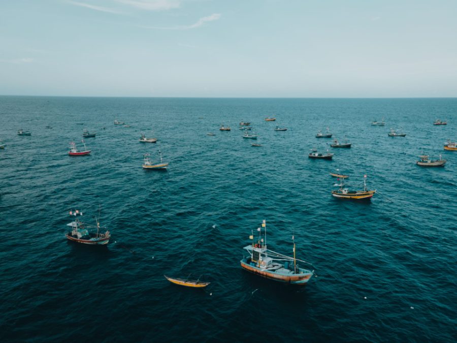 Flottille de bateaux de pêche vue du ciel sur l'océan Indien