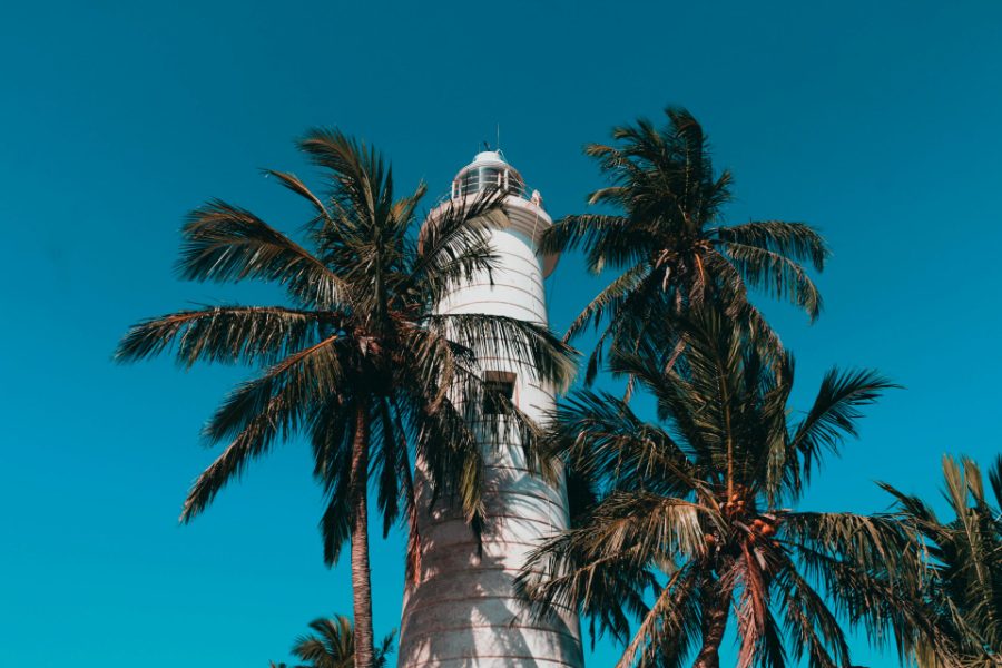 Le phare de Galle entre deux cocotiers
