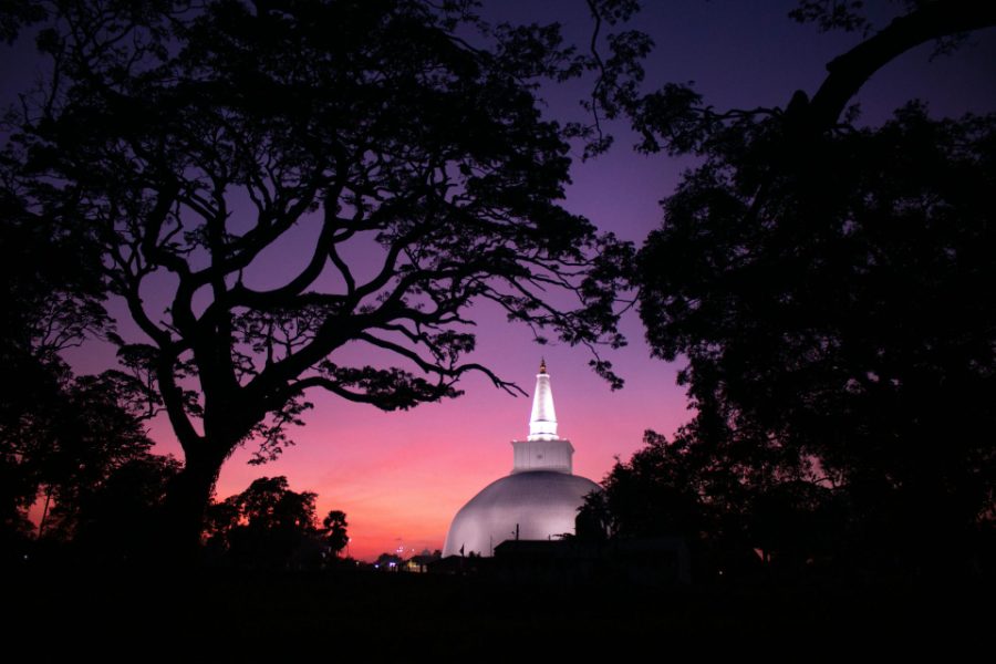 Stupa illuminé au crépuscule derrière les arbres