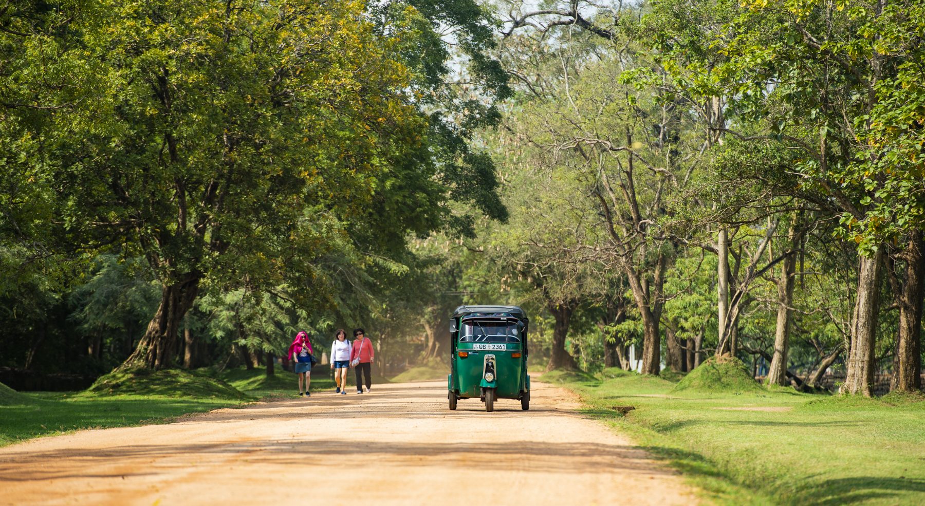 Tuk-tuk sur une route bordée d'arbres